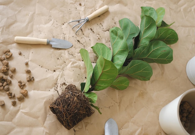 Platte late compositie met de kamerplant bloempot schop hark op ambachtelijk papier