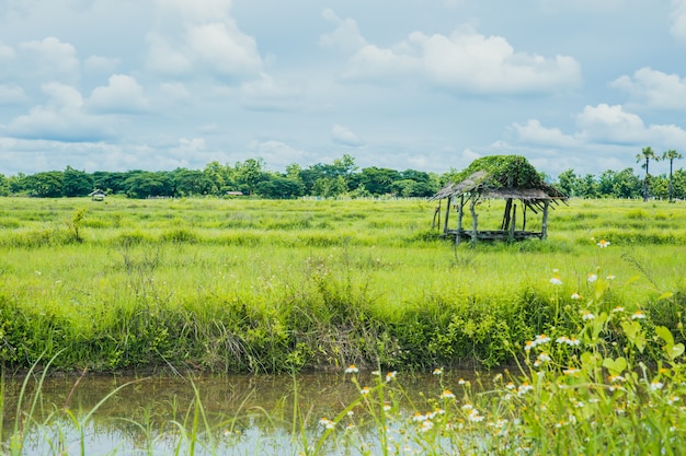 Platteland landelijke landschapsmening