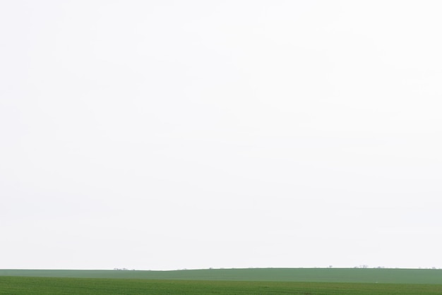 Platteland landschap blauwe lucht bomen en een meer