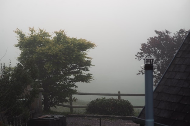 Platteland met houten hek en mist in de lente