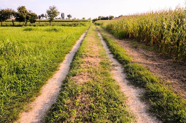 Platteland onverharde weg