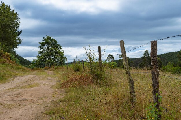 Foto plattelandsgebied