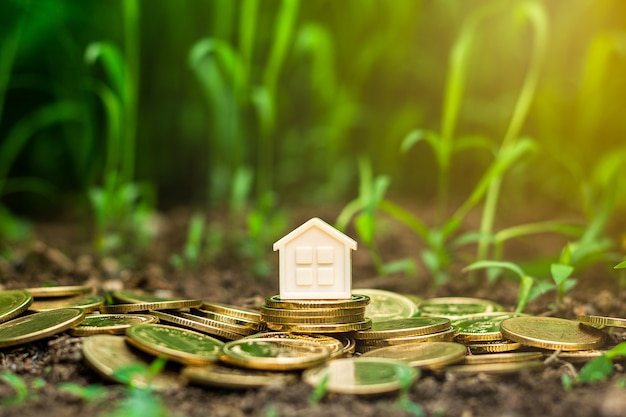 Plattelandshuisje op stapel gouden muntstukken in de tuin. - Concept van vastgoedbeleggingen.