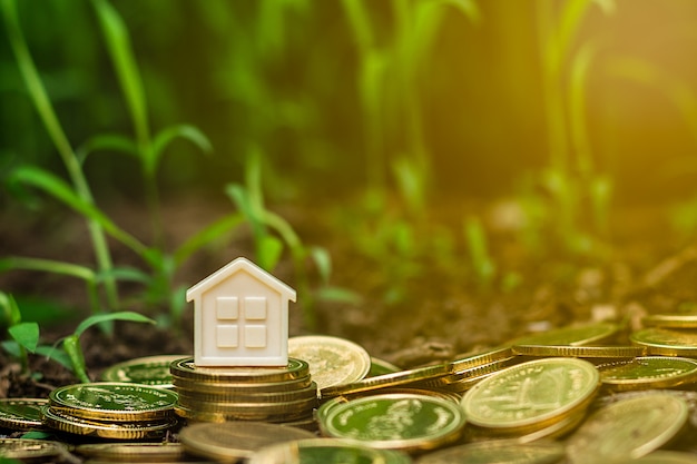 Plattelandshuisje op stapel gouden muntstukken in de tuin