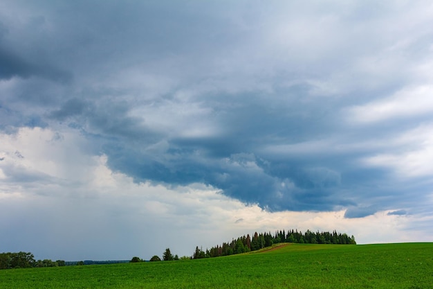 Plattelandslandschap met groen veld en bos voor onweer