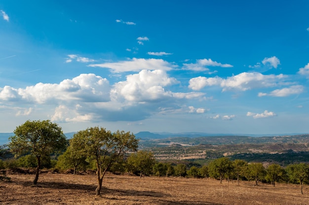 Plattelandslandschap met kleine zachte wolken