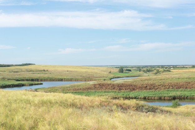 Plattelandslandschapsgebieden in de zomer met geel droog gras augustus de oekraïne