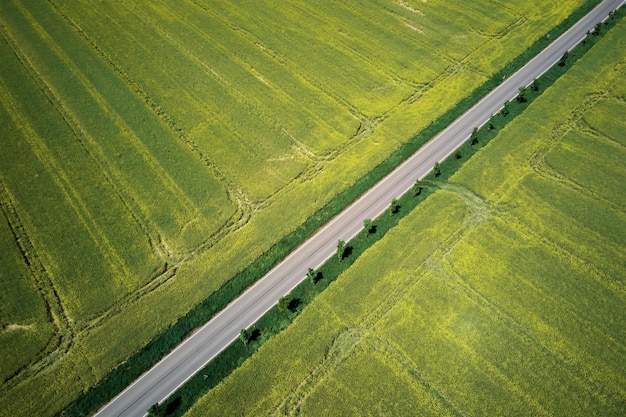 Plattelandsweg tussen landbouwvelden luchtfoto natuurlandschap