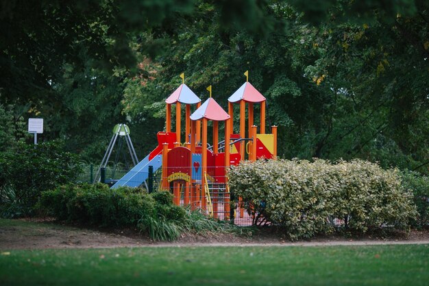 Foto gioca con l'attrezzatura contro gli alberi al parco