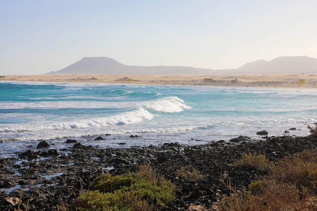 Corralejo, 카나리아, 스페인의 Playa Bajo 흑인 해변