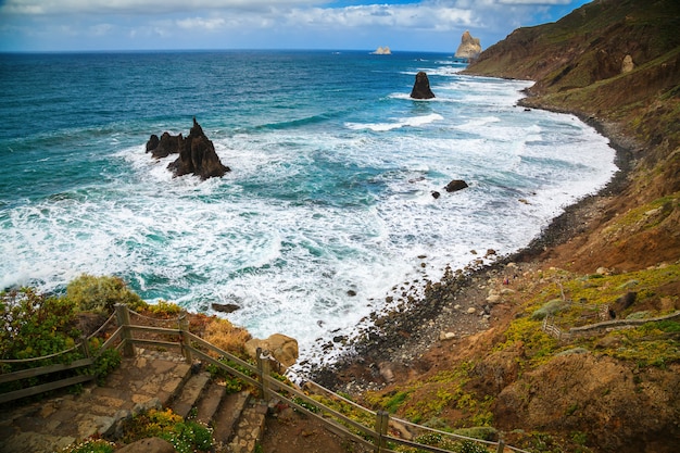 테 네리 페의 Playa de Benijo