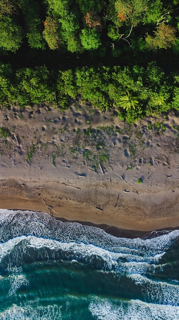 Foto playa de tortuguero desde el cielo con dron, observeer de jachthavens van tortugas