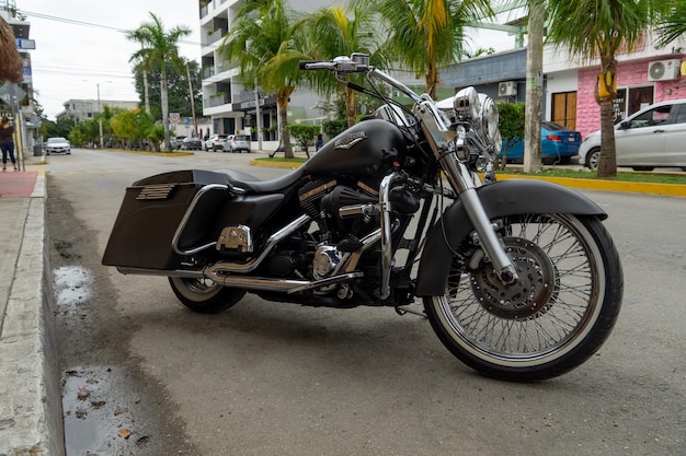 Playa del Carmen Quintana Roo Mexico januari 292022 Mooie zwarte motorfiets Harley Davidson USA op een achtergrond van palmbomen Harley op een verlaten straat in Mexico