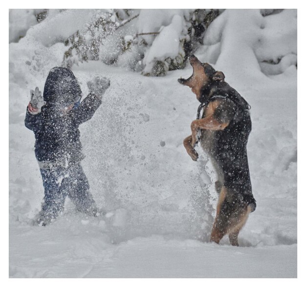 Foto bambino giocoso con il cane sul campo di neve