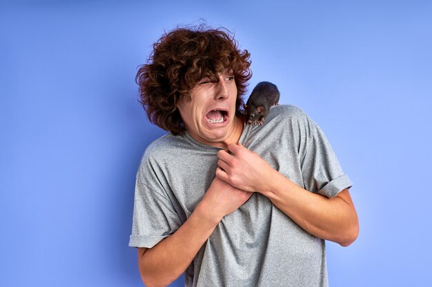 Playful rat keep on the alert the man, curly caucasian guy stand can't move, decorative rat is crawling on his t-shirt