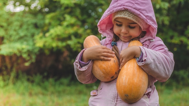 Playing outdoors cute little girl holding a pumpkin. Harvest of pumpkins, autumn in the garden, the lovely girl and large pumpkins.