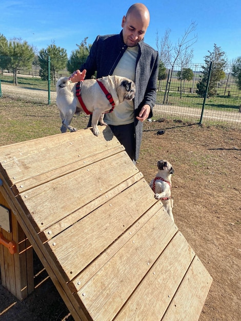 Playing with the dogs at the dog park  