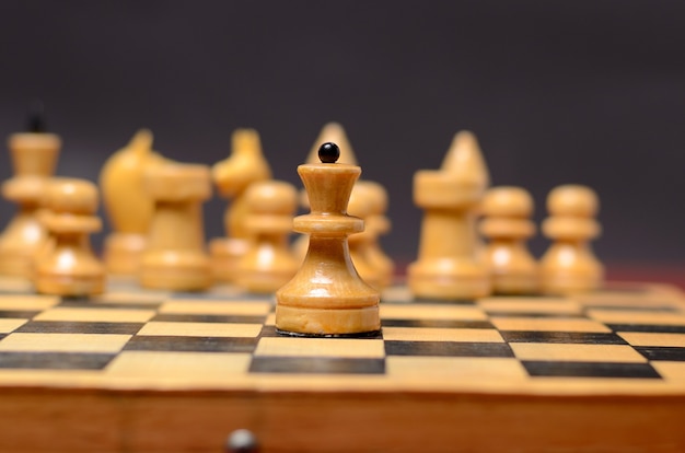 Playing wooden chess. White Queen against the rest of the figures on the board
