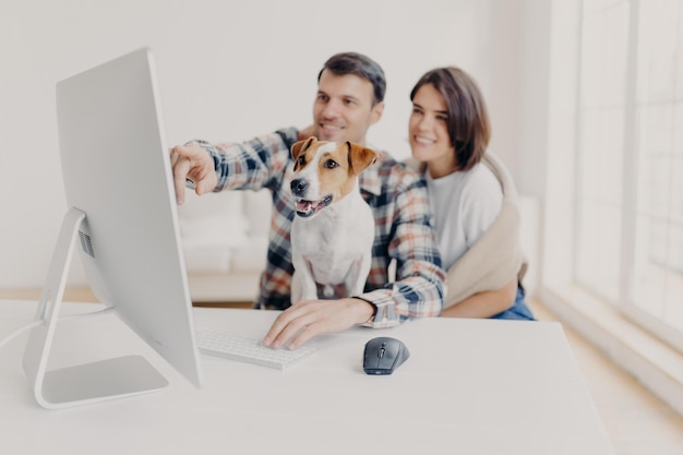 Pleased young woman and man watch computer content point into screen of monitor watch funny video focus on dog pose at white desktop search movie on website develop new startup project