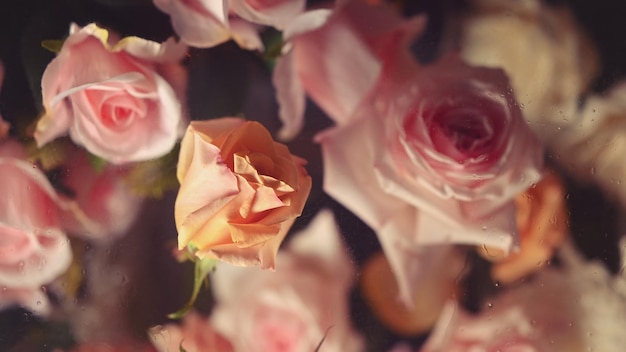 生地テキスタイル紙と花の植物の壁紙のピンクの自然なバラのテンプレートをたっぷり