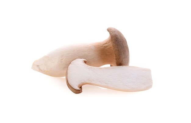 Photo pleurotus eryngii mushrooms on white background