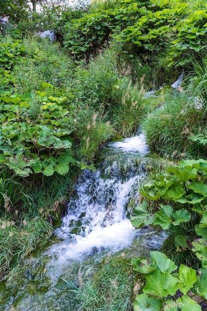 Плитвицкие озера в Хорватии красивый летний пейзаж с водопадами