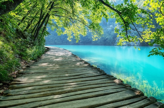 Plitvice lakes in Croatia National Park in summer Waterfalls and lakes among the forest Footpath for hiking Croatian travel image