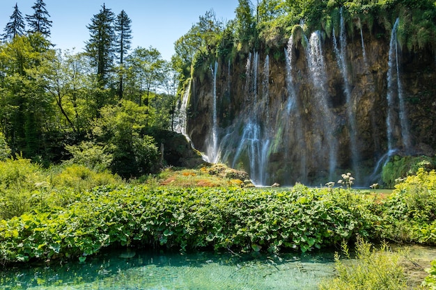 写真 クロアチアのプリトヴィツェ湖群の滝のある美しい夏の風景