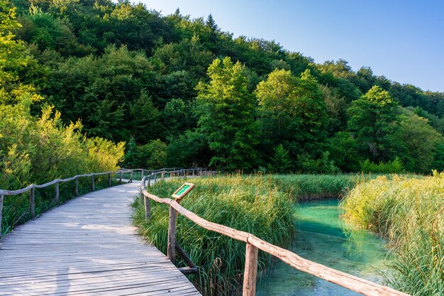 Plitvicemeren in Kroatië mooi de zomerlandschap met turkoois water