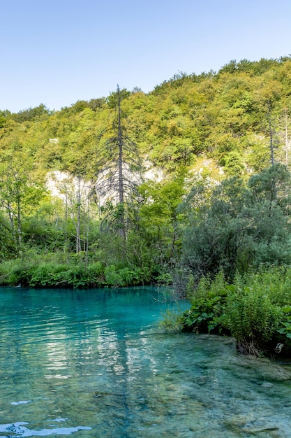 Plitvicemeren in Kroatië mooi de zomerlandschap met turkoois water