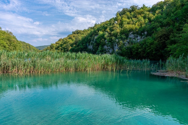 Plitvicemeren in Kroatië mooi de zomerlandschap met turkoois water