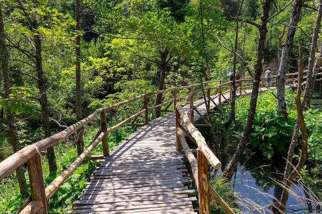 Plitvicemeren in Kroatië mooi de zomerlandschap met turkoois water