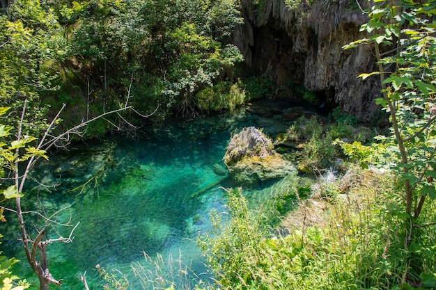 Plitvicemeren in Kroatië mooi de zomerlandschap met turkoois water