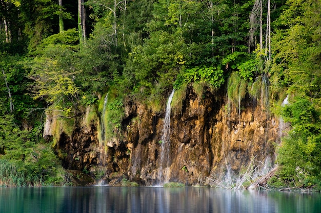 Foto plitvicemeren in kroatië mooi de zomerlandschap met watervallen