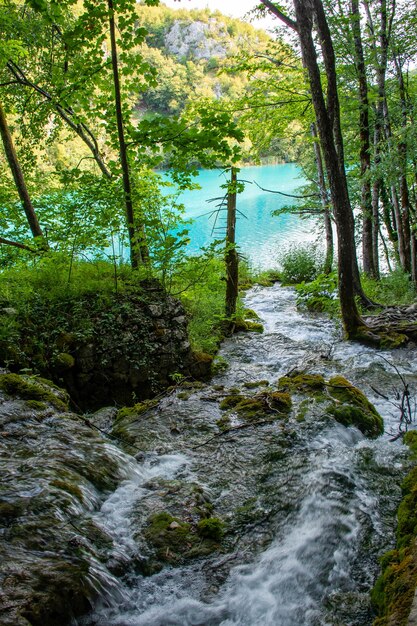 Plitvicemeren in kroatië mooi de zomerlandschap met watervallen