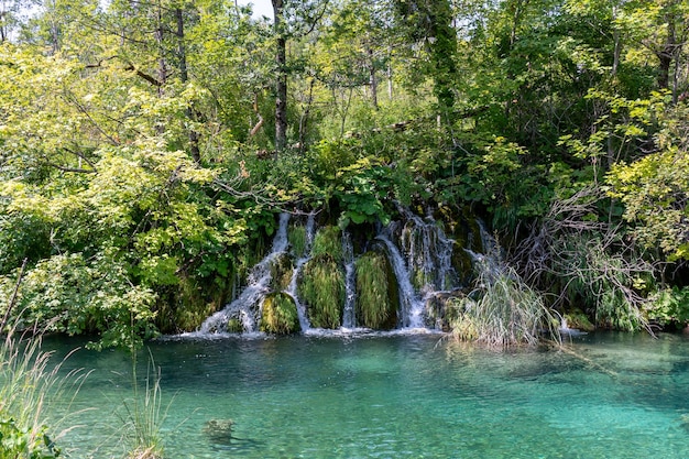 Foto plitvicemeren in kroatië mooi de zomerlandschap met watervallen