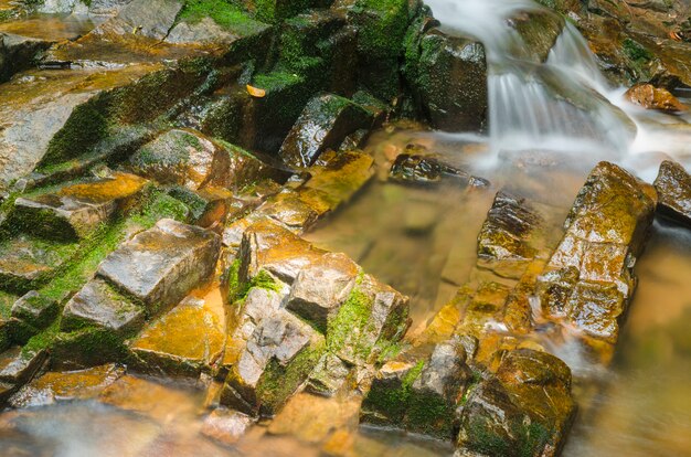 Pliuwaterval in Nationaal het regenwoudpark van Pliu, Thailand