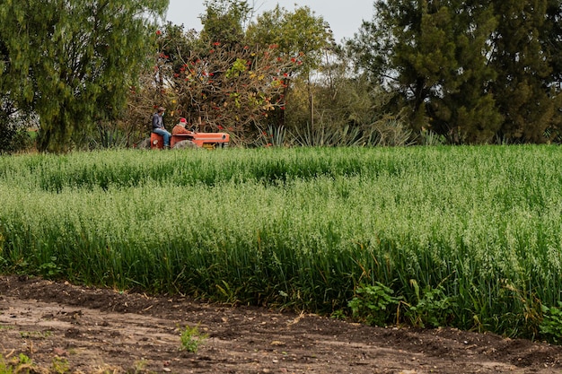 Ploegende tractor bij akkerbouwwerkzaamheden