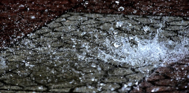 Foto plons waterdruppels watervlieg zweven in het luchtbeeld