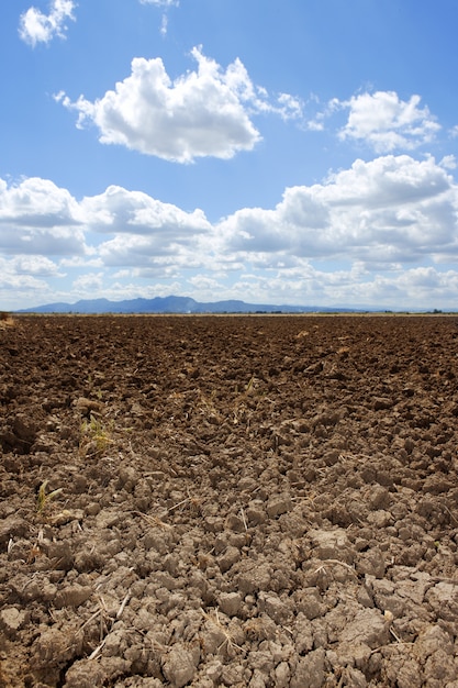 Foto l'aratro ha arato l'orizzonte marrone del cielo blu del campo dell'argilla