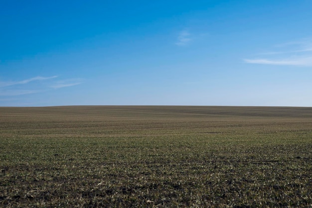 Ploughed field and blue sky as a background