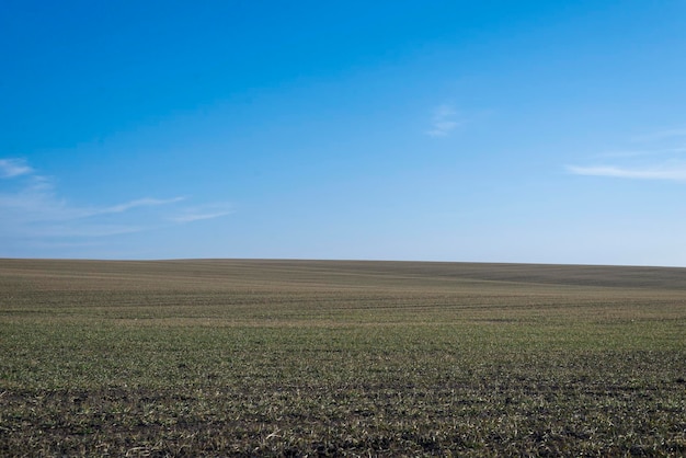 Ploughed field and blue sky as a background