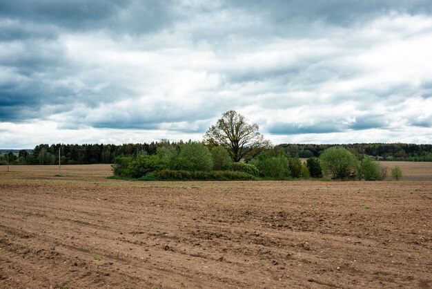 Ploughed field in spring prepared for sowing.