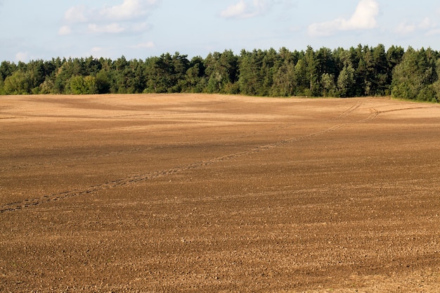 Plowed agricultural field near the forest with green foliage and mixed trees