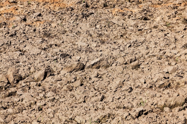 Plowed agricultural field