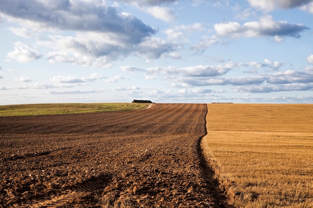 plowed agricultural field