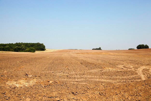 Plowed agricultural field