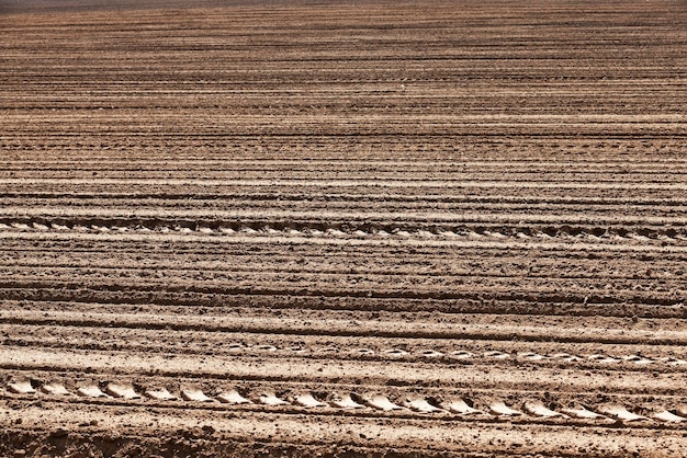 Plowed agricultural field