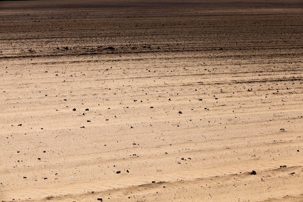 Plowed agricultural field