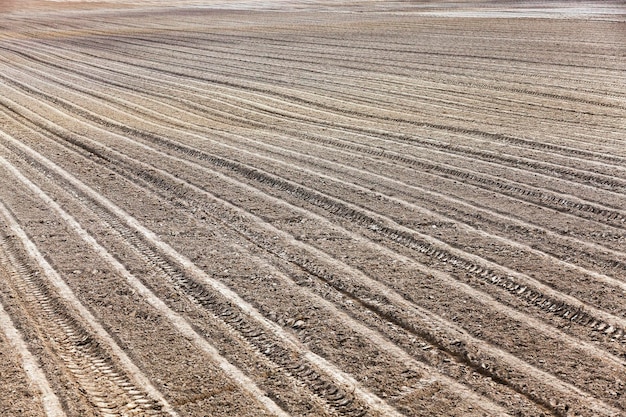 Plowed agricultural field